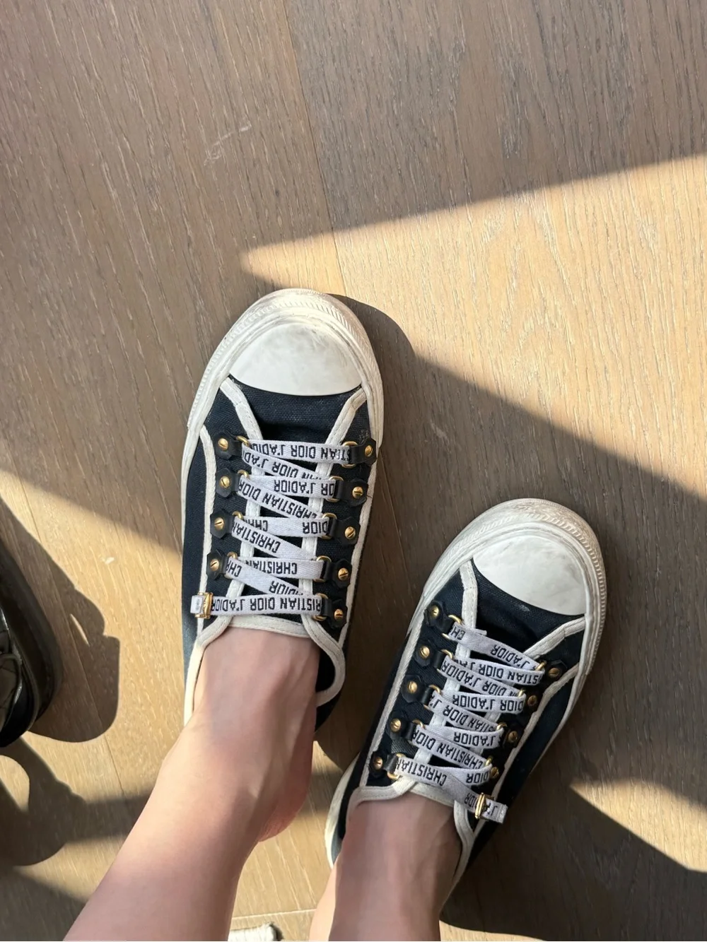 Dior Black and White Classic Sneakers